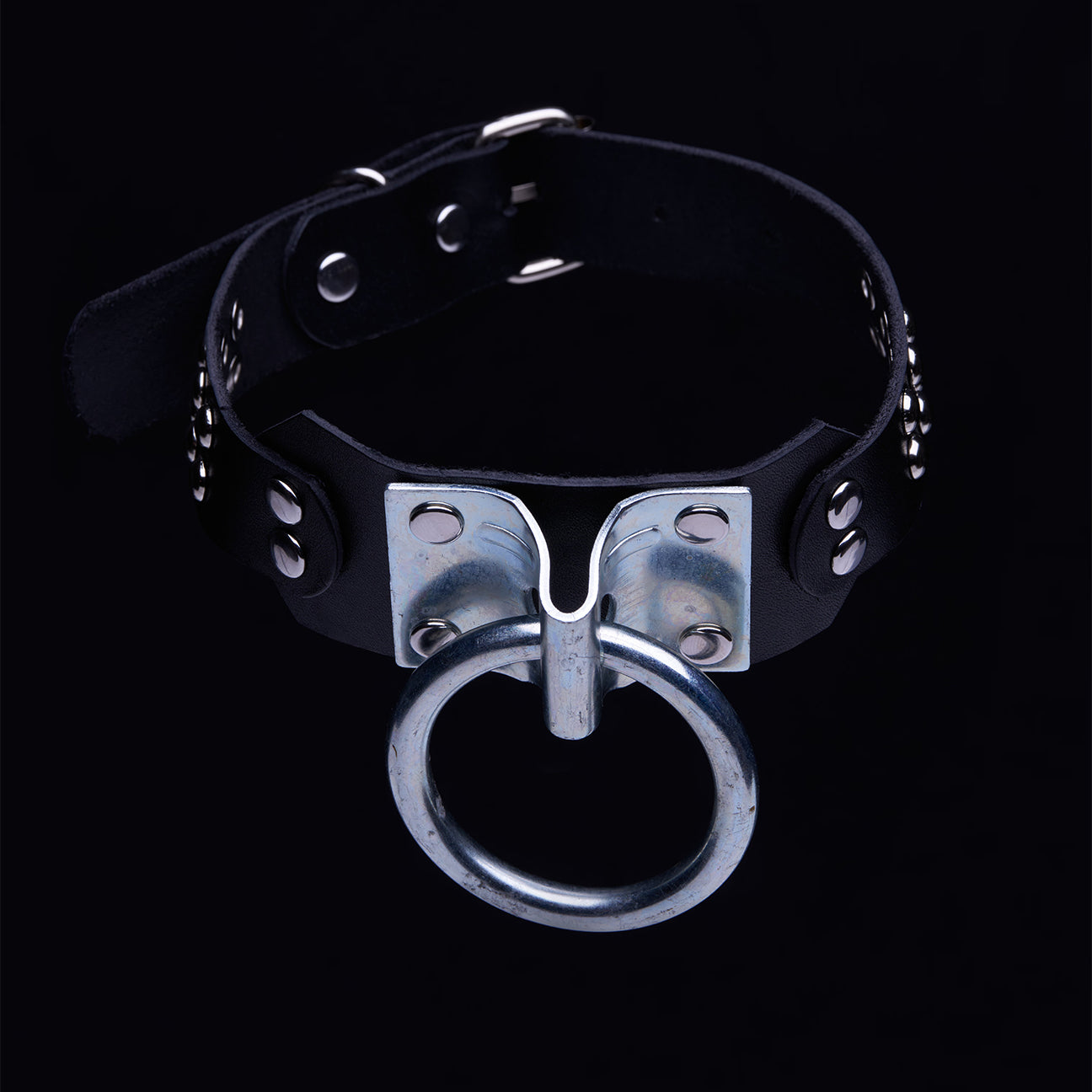 Iggy Classic O Ring Collar