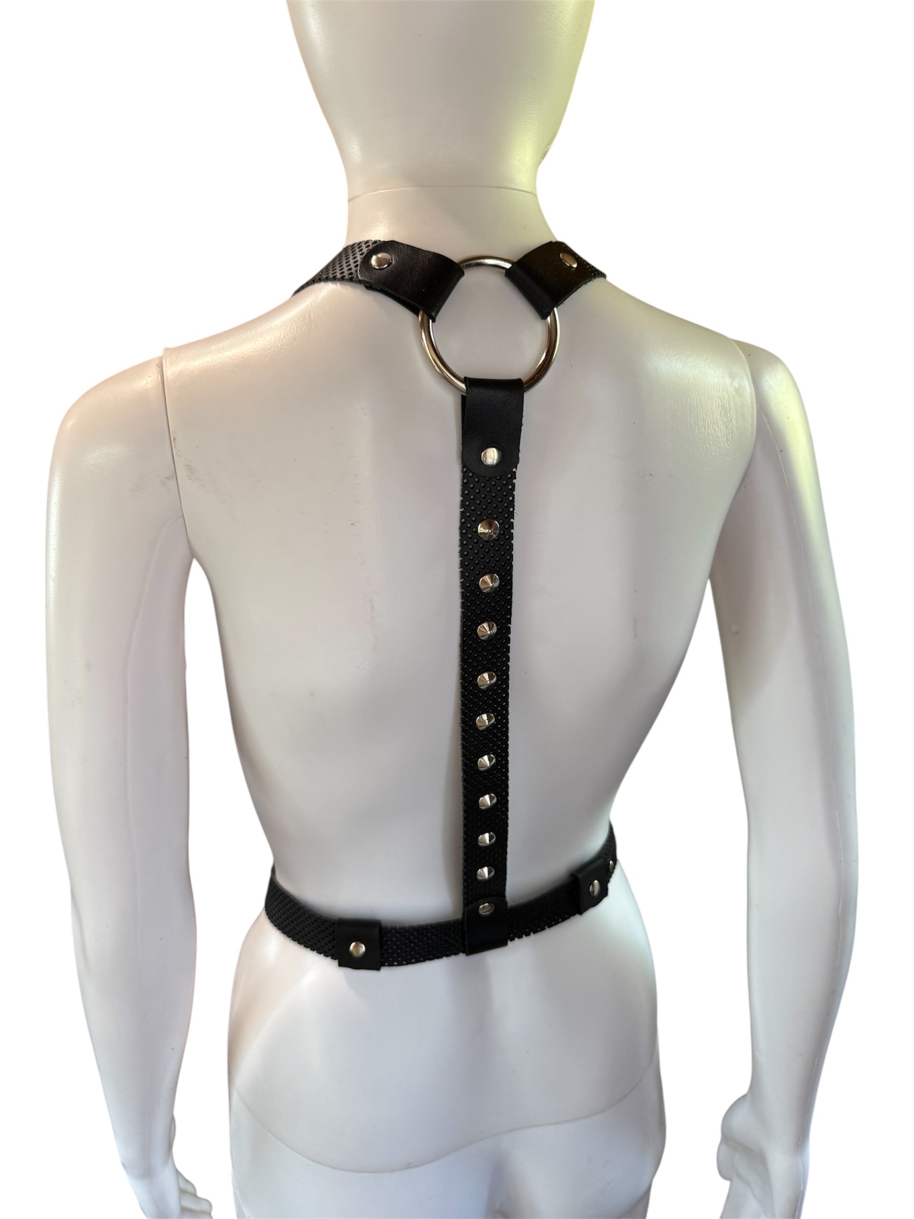 Custom Leather Harness