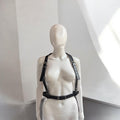 Custom Classic Harness with Rings
