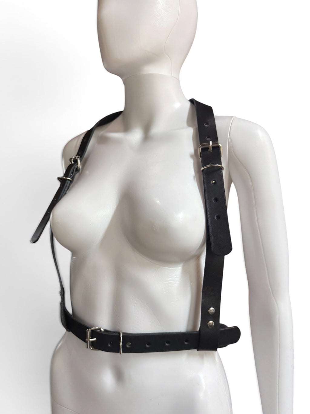 Custom Classic Harness with Rings