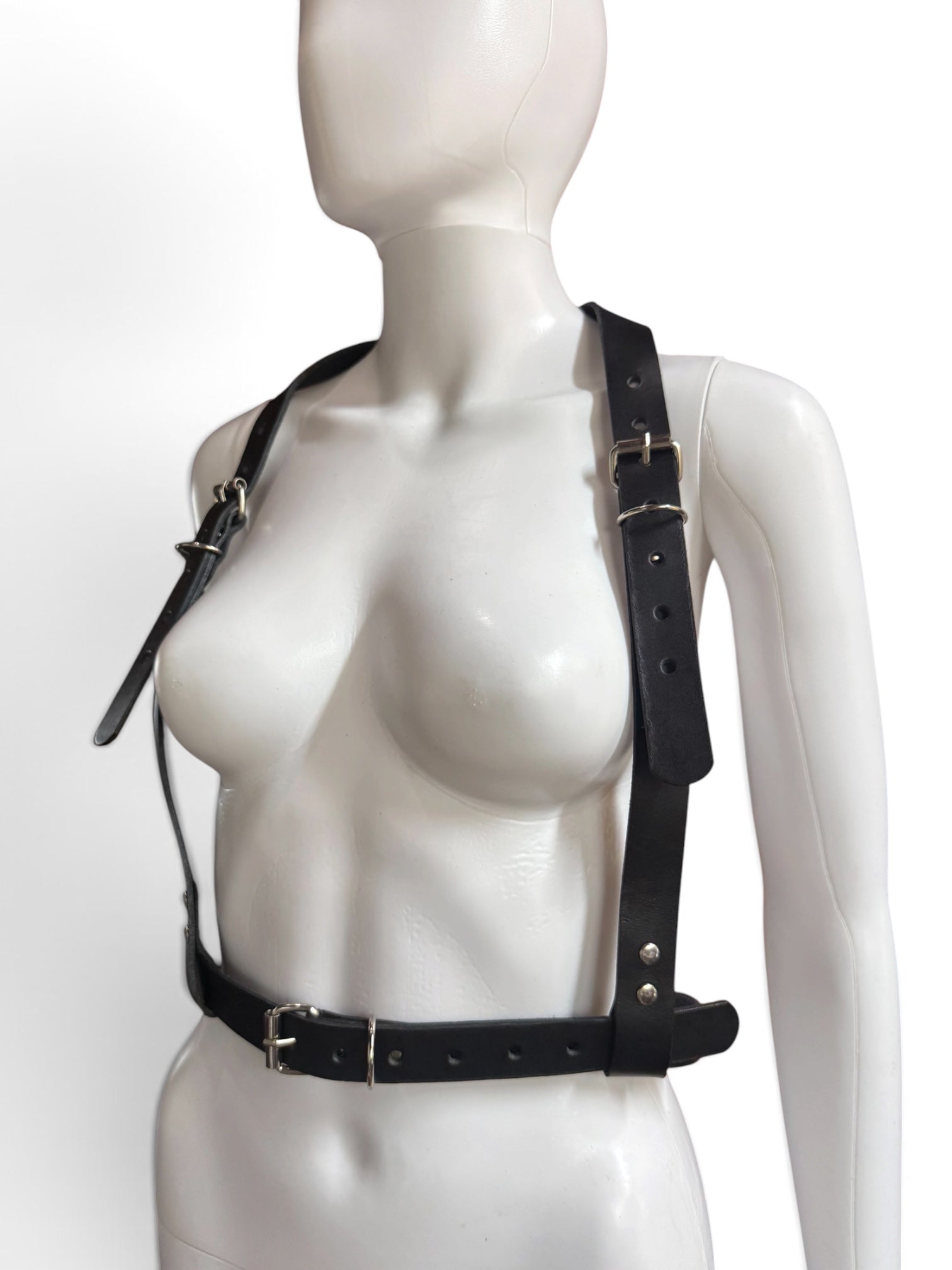 Custom Classic Harness with Rings