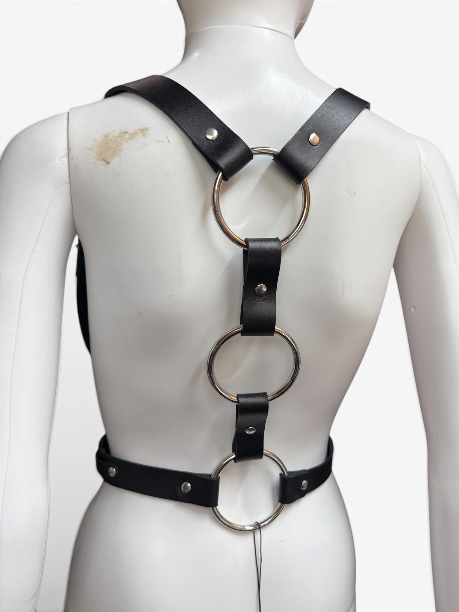 Custom Classic Harness with Rings