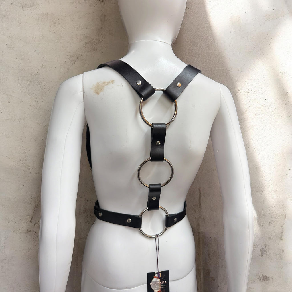Custom Classic Harness with Rings